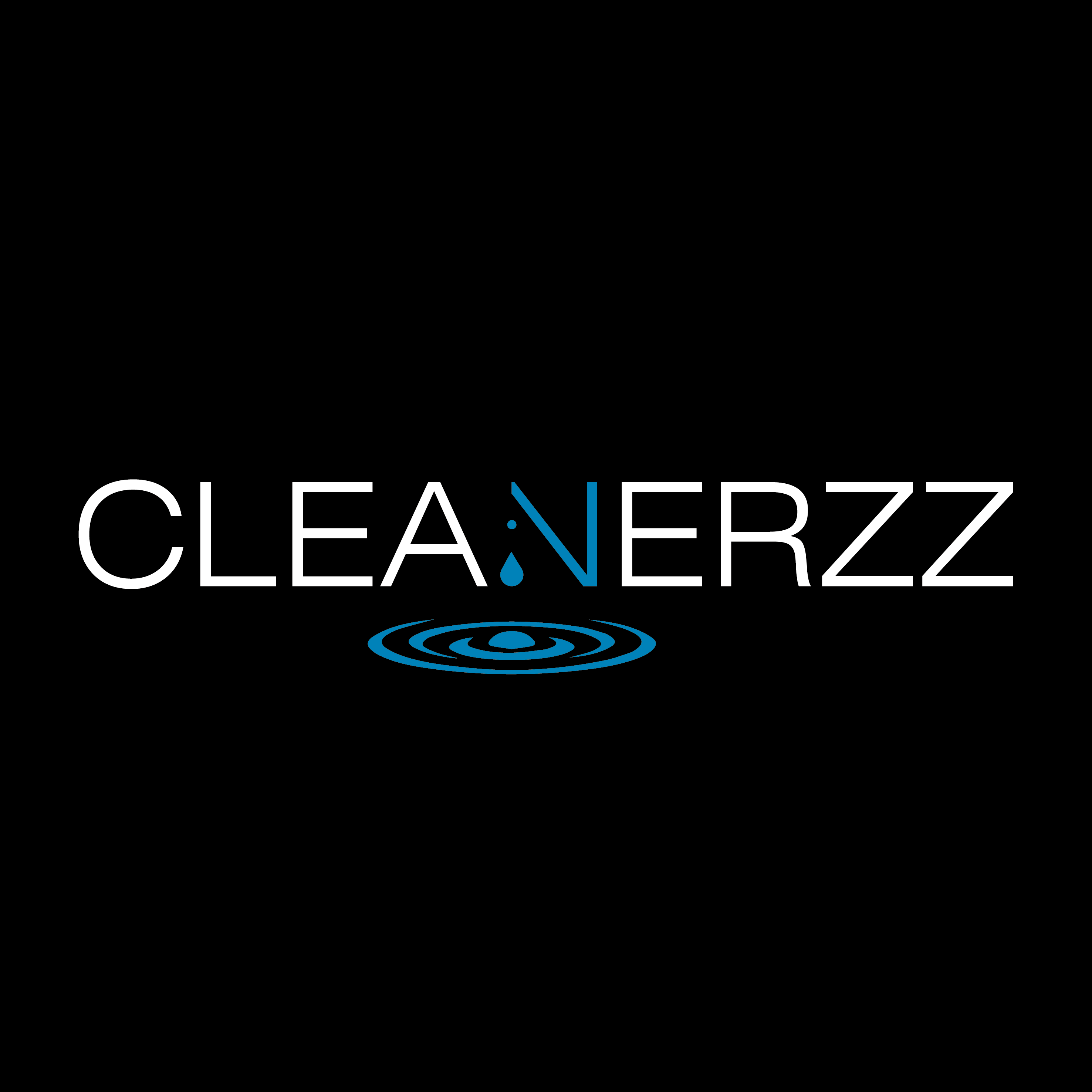 Logo Cleanerzz